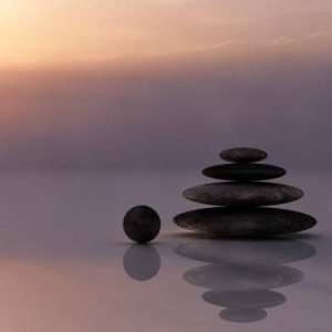 THE WELLNESS COLLECTION